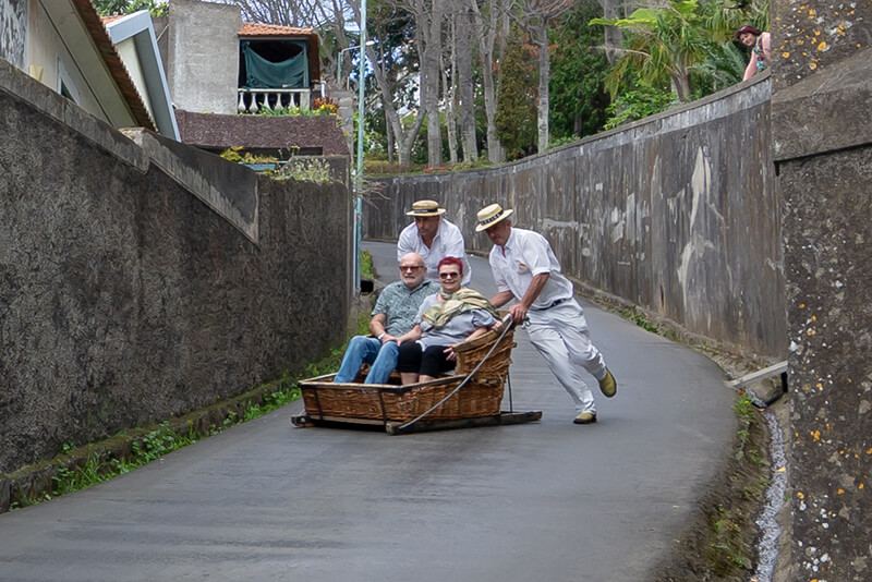Toboggan Rides - Monte