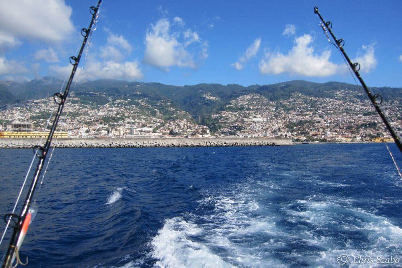 madeira-island-23