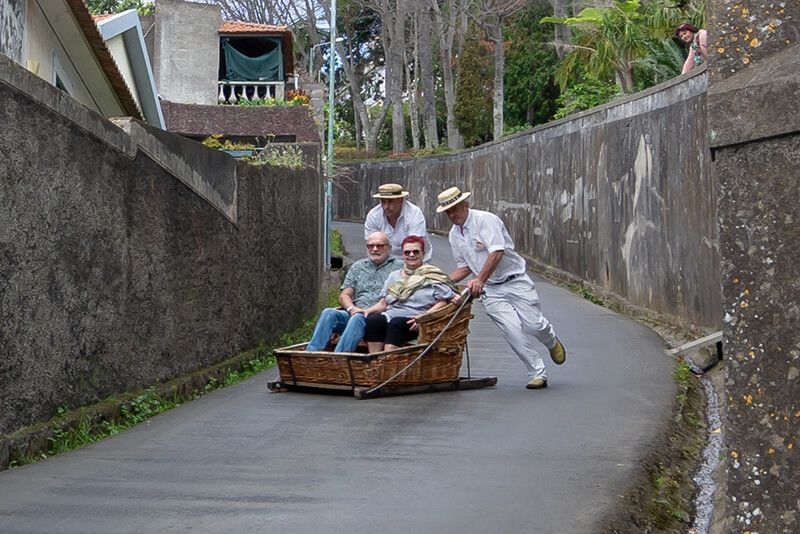 Toboggan Rides - Monte